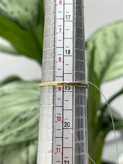 *Кольцо р.19 Триглав  цв Лимонное арт. 1000433-895 (вес 1,45 г) - фото 120965 *Кольцо р.19 Триглав  цв Лимонное арт. 1000433-895 (вес 1,45 г) - фото 120965