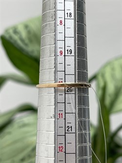 *Кольцо р.20 Триглав цв Красное арт. 1000432-864 (вес 1,53 г) - фото 121055 *Кольцо р.20 Триглав цв Красное арт. 1000432-864 (вес 1,53 г) - фото 121055