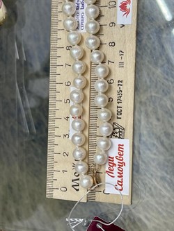 *Ожерелье р.50 Белый Жемчуг д.7-8 цв Красное арт. 850800480259.050-571 - фото 122360 *Ожерелье р.50 Белый Жемчуг д.7-8 цв Красное арт. 850800480259.050-571 - фото 122360