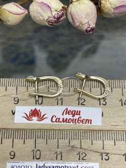 *Серьги Змейки Черный Бр цв Лимонное арт. С/279-325-566, (вес 2.21 г) - фото 122852 *Серьги Змейки Черный Бр цв Лимонное арт. С/279-325-566, (вес 2.21 г) - фото 122852