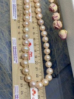 *Ожерелье р.50 Розовый Жемчуг д.10-10,5 цв Красное арт. 8581013.3.0.50-992 - фото 124185 *Ожерелье р.50 Розовый Жемчуг д.10-10,5 цв Красное арт. 8581013.3.0.50-992 - фото 124185