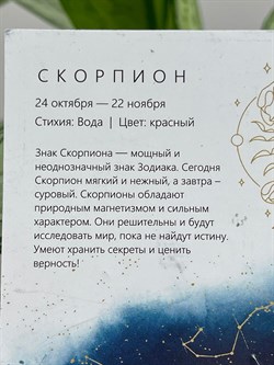 *Подвеска Скорпион Белый Бр цв Белое арт. 34207-200-309 вес 0,49 г - фото 124815 *Подвеска Скорпион Белый Бр цв Белое арт. 34207-200-309 вес 0,49 г - фото 124815