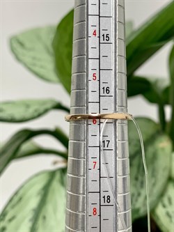 *Кольцо р.16,5 Белый бр цв Красное арт. К0645-120-396 вес 1,56 г - фото 126430 *Кольцо р.16,5 Белый бр цв Красное арт. К0645-120-396 вес 1,56 г - фото 126430