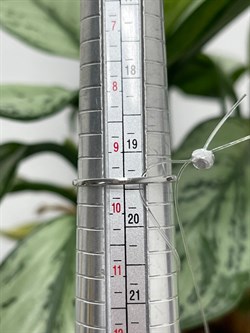*Кольцо р.19,5 Танзанит цв Белое арт. К1298Ю-208-084 вес 1,05 г - фото 126746 *Кольцо р.19,5 Танзанит цв Белое арт. К1298Ю-208-084 вес 1,05 г - фото 126746