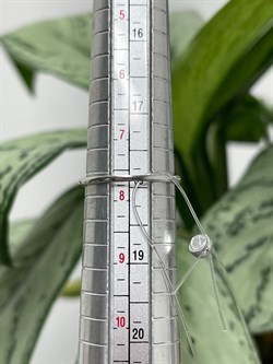 *Кольцо р.18 Танзанит цв Белое арт. К1171-208-119 вес 1,28 г - фото 126797 *Кольцо р.18 Танзанит цв Белое арт. К1171-208-119 вес 1,28 г - фото 126797