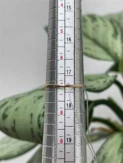 *Кольцо р.17,5 Танзанит цв Красное арт. К1208-107/1/8-190 вес 1,1 г - фото 126841 *Кольцо р.17,5 Танзанит цв Красное арт. К1208-107/1/8-190 вес 1,1 г - фото 126841