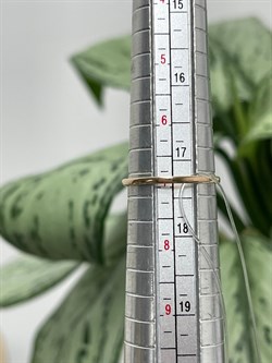 *Кольцо р.17,5 Танзанит Африка цв Красное арт. К1299Ю-108-048 вес 1 г - фото 127091 *Кольцо р.17,5 Танзанит Африка цв Красное арт. К1299Ю-108-048 вес 1 г - фото 127091