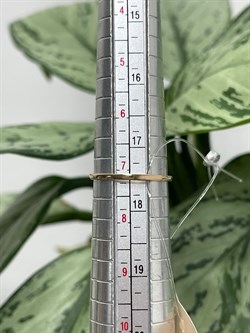 *Кольцо р.17,5 Танзанит цв Красное арт. К1300Ю-108-3000003195359 вес 0,88 г - фото 127101 *Кольцо р.17,5 Танзанит цв Красное арт. К1300Ю-108-3000003195359 вес 0,88 г - фото 127101