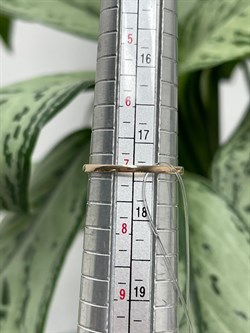 *Кольцо р.17,5 Танзанит цв Красное арт. К1170-108-196 вес 1,4 г - фото 127158