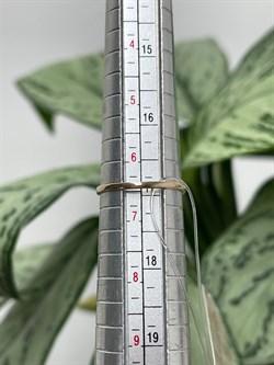 *Кольцо р.17 Танзанит цв Красное арт. К1213-128-674 вес 1,17 г - фото 127217