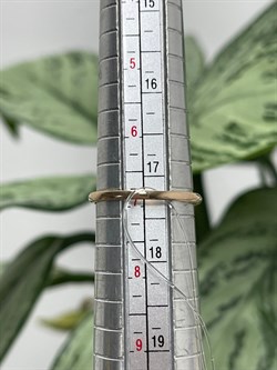 *Кольцо р.17,5 Танзанит цв Красное арт. К1171-108-614 вес 1,49 г - фото 127239 *Кольцо р.17,5 Танзанит цв Красное арт. К1171-108-614 вес 1,49 г - фото 127239