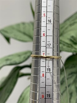 *Кольцо р.17,5 Изумруд цв Лимонное арт. К1299Ю-303-557 вес 0,85 г - фото 128883 *Кольцо р.17,5 Изумруд цв Лимонное арт. К1299Ю-303-557 вес 0,85 г - фото 128883