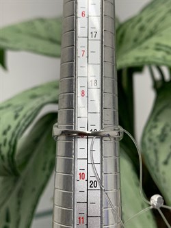 *Кольцо р.19 Орхидея Танзанит цв Белое Африка  арт. К0837-208-511 вес 3,72 г - фото 128935