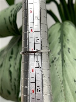 *Кольцо р.17,5 Танзанит Африка цв Белое арт. К1169-208-851 вес 1,3 г - фото 130584 *Кольцо р.17,5 Танзанит Африка цв Белое арт. К1169-208-851 вес 1,3 г - фото 130584