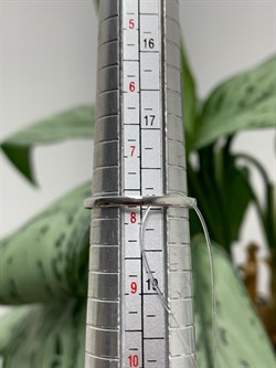 *Кольцо р.18 Белый бр Черный бр цв Белое арт. К1232-225-835 вес 1,52 г - фото 130614 *Кольцо р.18 Белый бр Черный бр цв Белое арт. К1232-225-835 вес 1,52 г - фото 130614