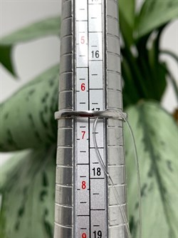 *Кольцо р.17 Белый бр цв Белое арт. К0762-220-606 вес 1 г - фото 130656 *Кольцо р.17 Белый бр цв Белое арт. К0762-220-606 вес 1 г - фото 130656