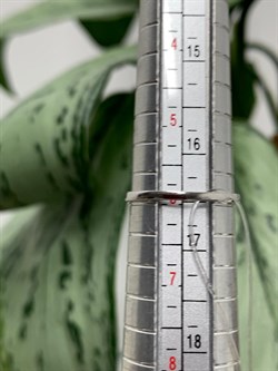 *Кольцо р.16,5 Белый Бр цв Белое арт. К1252-220-293 вес 0,78 г - фото 130671 *Кольцо р.16,5 Белый Бр цв Белое арт. К1252-220-293 вес 0,78 г - фото 130671