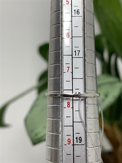 *Кольцо р.18Белый бр цв Белое арт. 12264-200-857 вес 0,67 г - фото 131826