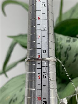 *Кольцо р.18,5 Белый Бр цв Белое арт. К0786-220-736 вес 1,3 г - фото 132837 *Кольцо р.18,5 Белый Бр цв Белое арт. К0786-220-736 вес 1,3 г - фото 132837