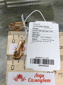 *Серьги цв Красное 10-03-0000-24146-480 Вес 2,45 г - фото 133466 *Серьги цв Красное 10-03-0000-24146-480 Вес 2,45 г - фото 133466