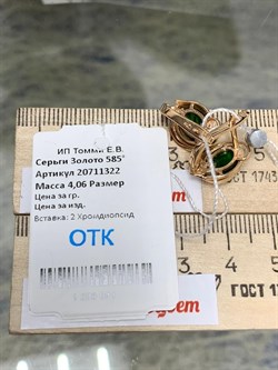 *Серьги Хромдиопсид цв Красное арт. 20711322-041 вес 4,06 г - фото 133997