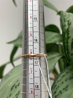 *Кольцо р.16,5 Белый Фианит цв Красное 20-02-0001-26381-792 Вес 2,1 г - фото 134324