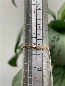 *Кольцо р.20 Орхидея Малахит Топаз Лондон цв Красное арт. 1643890-426 вес 5,83 г - фото 134537 *Кольцо р.20 Орхидея Малахит Топаз Лондон цв Красное арт. 1643890-426 вес 5,83 г - фото 134537