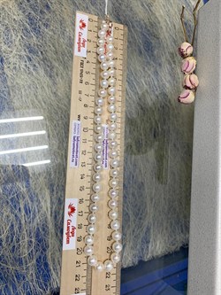 *Ожерелье р.45 Белый Жемчуг д.8-8,5 цв Красное арт. 850800430032.045-341 - фото 134726 *Ожерелье р.45 Белый Жемчуг д.8-8,5 цв Красное арт. 850800430032.045-341 - фото 134726
