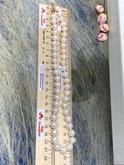 *Ожерелье р.45 Белый Жемчуг д.8-8,5 цв Красное арт. 850900480002.045-242 - фото 134775 *Ожерелье р.45 Белый Жемчуг д.8-8,5 цв Красное арт. 850900480002.045-242 - фото 134775