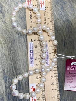 *Ожерелье р.45 Белый Жемчуг д.8-8,5 цв Красное арт. 850900480002.045-242 - фото 134777 *Ожерелье р.45 Белый Жемчуг д.8-8,5 цв Красное арт. 850900480002.045-242 - фото 134777