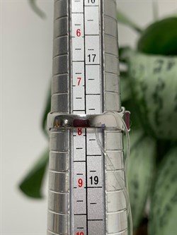 *Кольцо р.18 Турмалин цв Белое арт 1-208380-00-60-438 вес 2,38 г - фото 136046