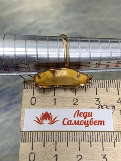 *Кольцо р.17 Янтарь цв Красное арт. 13030102521-391, (Вес 4,23г) - фото 147363 *Кольцо р.17 Янтарь цв Красное арт. 13030102521-391, (Вес 4,23г) - фото 147363