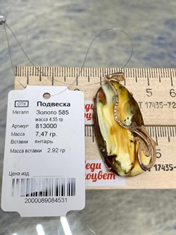 *Подвеска Янтарь цв Красное арт 813000-531 Вес 7,47 - фото 147364 *Подвеска Янтарь цв Красное арт 813000-531 Вес 7,47 - фото 147364