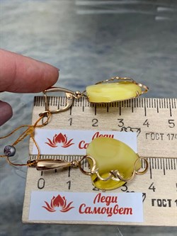 *Серьги Янтарь цв Красное арт. 13020111519-299, (Вес 6,83г) - фото 147516 *Серьги Янтарь цв Красное арт. 13020111519-299, (Вес 6,83г) - фото 147516