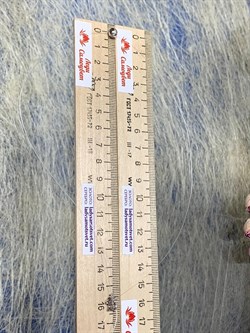 *Колье р.38 Лунария Белый Родий арт. пк-017р-192 (Вес 1,56 г) - фото 158649 *Колье р.38 Лунария Белый Родий арт. пк-017р-192 (Вес 1,56 г) - фото 158649