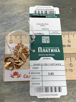 *Серьги Цветы Микс Родолит Дымчатый Кварц цв Красное арт. 02-4037-01-705-1110-57-434 вес 3,8 г - фото 161297 *Серьги Цветы Микс Родолит Дымчатый Кварц цв Красное арт. 02-4037-01-705-1110-57-434 вес 3,8 г - фото 161297
