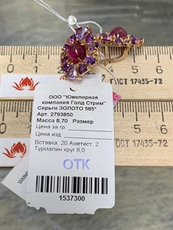 *Серьги Розовый Турмалин цв Красное арт. 2793850-300 вес 8,7 г - фото 162150 *Серьги Розовый Турмалин цв Красное арт. 2793850-300 вес 8,7 г - фото 162150