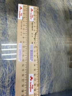 *Браслет р.16-18 Микс Турмалин цв Лимонное арт 10-320413-00-60-817 вес 2,98 г - фото 164587