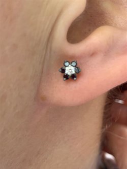 *Пусеты  Черный и Белый Бр цв Лимонное арт. 2-104-190-55-048 вес 1,49 г - фото 165843 *Пусеты  Черный и Белый Бр цв Лимонное арт. 2-104-190-55-048 вес 1,49 г - фото 165843