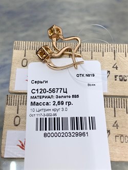 *Серьги Цитрин цв Красное арт. С120-5677Ц-961 вес 2,69 г - фото 171088 *Серьги Цитрин цв Красное арт. С120-5677Ц-961 вес 2,69 г - фото 171088