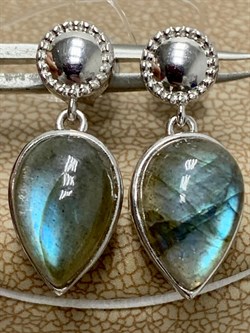 *Серьги Пусеты Лабрадор арт. SM-E00737-X-W-GR-X-X-479 вес 5,13 г - фото 172052 *Серьги Пусеты Лабрадор арт. SM-E00737-X-W-GR-X-X-479 вес 5,13 г - фото 172052