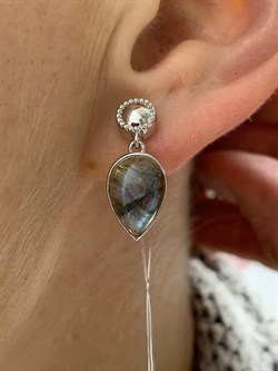 *Серьги Пусеты Лабрадор арт. SM-E00737-X-W-GR-X-X-479 вес 5,13 г - фото 172054 *Серьги Пусеты Лабрадор арт. SM-E00737-X-W-GR-X-X-479 вес 5,13 г - фото 172054