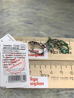 *Серьги Апатит Цаворит арт. SM-E00746-X-WB-BG-X-Gg-214 вес 6,89 г - фото 172479 *Серьги Апатит Цаворит арт. SM-E00746-X-WB-BG-X-Gg-214 вес 6,89 г - фото 172479