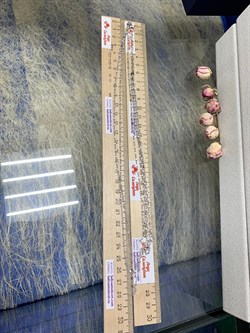 *Колье р.45-50  Перлина арт. XGI01658-Rd-13,45 вес 13,45 г - фото 176583