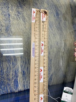 *Колье р.45-50 Гранат цв Красное арт. 07-0204-00-264-1110-57-730 вес 5,51 г - фото 181522 *Колье р.45-50 Гранат цв Красное арт. 07-0204-00-264-1110-57-730 вес 5,51 г - фото 181522