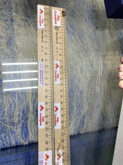 *Колье р.45-50 Спессартин цв Лимонное арт 6-360357-00-56-416 вес 2,88 г - фото 184871