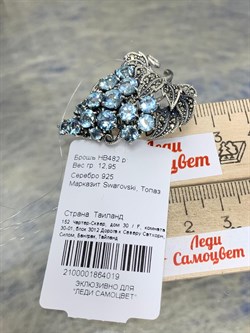 *Брошь Кулон Виноградная Гроздь Микс Марказит Голубой Топаз арт. HB482-019 вес 12,95 г - фото 185848 *Брошь Кулон Виноградная Гроздь Микс Марказит Голубой Топаз арт. HB482-019 вес 12,95 г - фото 185848