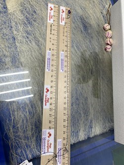 *Колье р.40-45 Аметист Кабошон арт. 06-2307/00АМ-00-492 Вес 2,83 г - фото 188777 *Колье р.40-45 Аметист Кабошон арт. 06-2307/00АМ-00-492 Вес 2,83 г - фото 188777