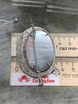 *Брошь ДЕВОЧКА НА ЛУНЕ Микс Перламутр Эмаль арт. 04.02599-578 вес 20,62 г - фото 191201 *Брошь ДЕВОЧКА НА ЛУНЕ Микс Перламутр Эмаль арт. 04.02599-578 вес 20,62 г - фото 191201