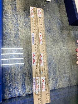 *Колье 45-50 Белый Жемчуг Барокко цв Лимонное 6-360444-00-28-874 вес 6,93 г - фото 198667 *Колье 45-50 Белый Жемчуг Барокко цв Лимонное 6-360444-00-28-874 вес 6,93 г - фото 198667